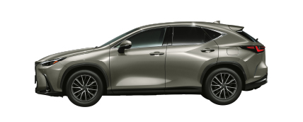 NX